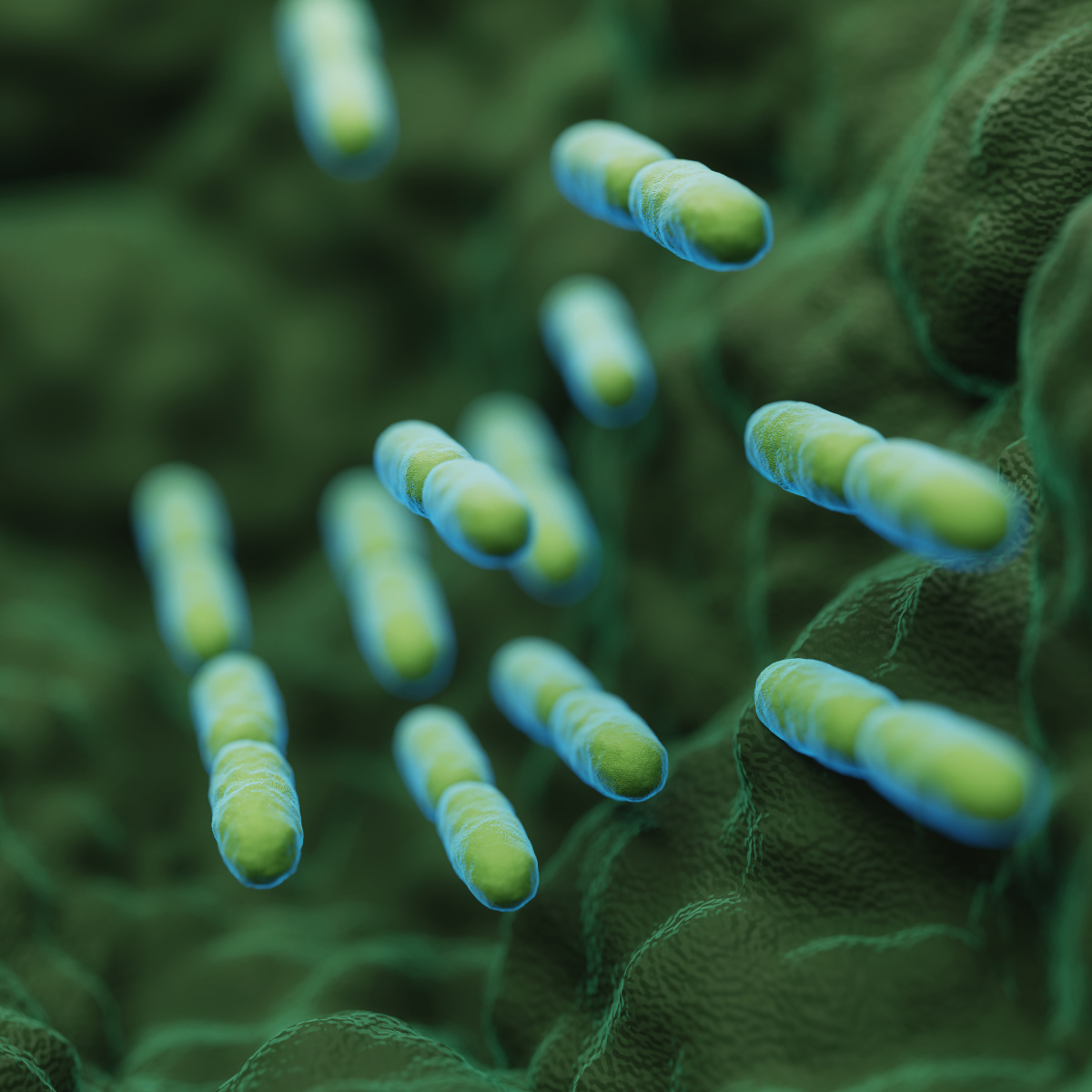 Darmsanierung Mikrobiom